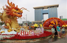 Bình Dương: Khai mạc đường hoa và Hội hoa Xuân