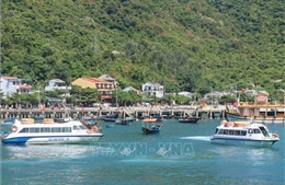 cu-lao-cham4-090824 Lặn ngắm san hô - hấp dẫn du khách trong mùa du lịch biển đảo